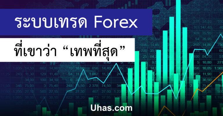 Stop Loss Forex